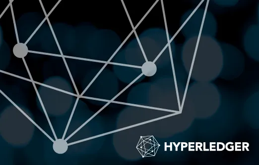 https://www.ibtimes.co.uk/hyperledger-project-reflects-blockchain-politics-1603381